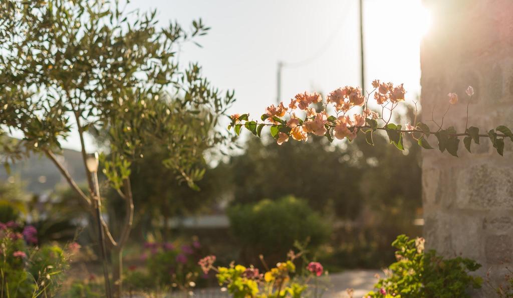 Villa Patmos Netia Skála Exteriér fotografie