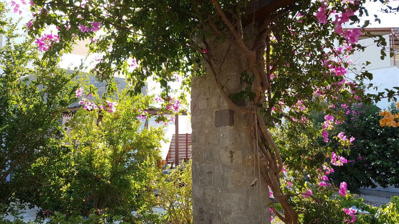 Villa Patmos Netia Skála Exteriér fotografie